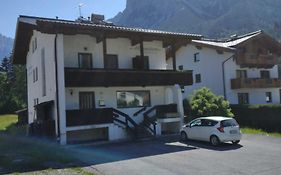 Alpenstern